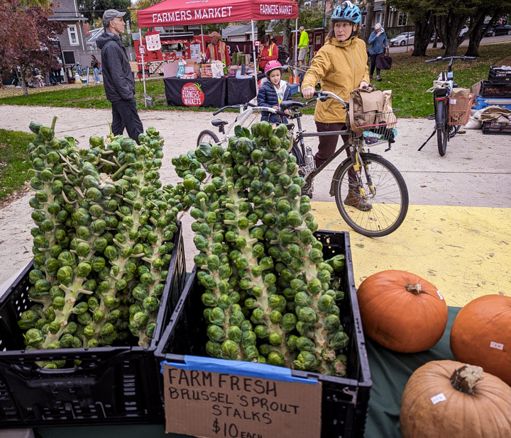 Brussels sprouts at Vancouver’s Riley Park farmers market