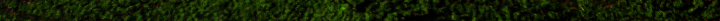 Header graphic: Moss on a tree