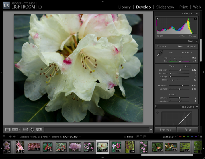 Adobe Lightroom Screenshot