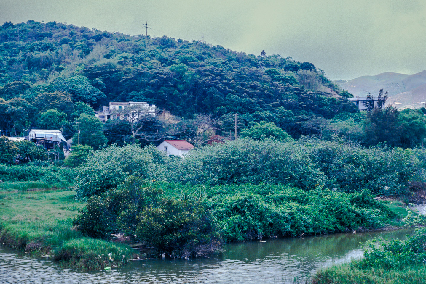 Lantau Island countryside