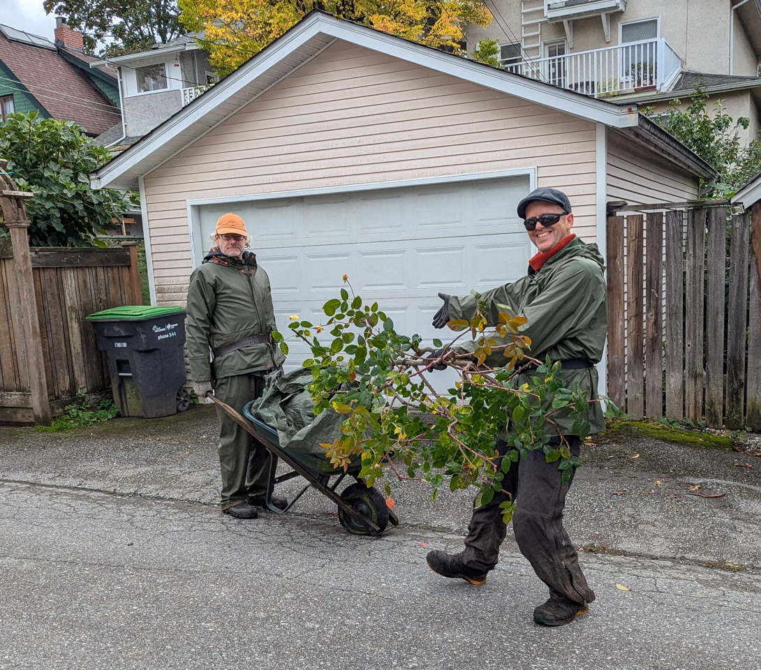 Moving the rosebush